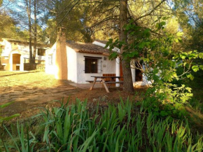 Casitas La Purísima Macho